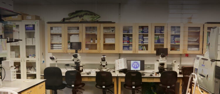 Chemical and Lab Safety Course